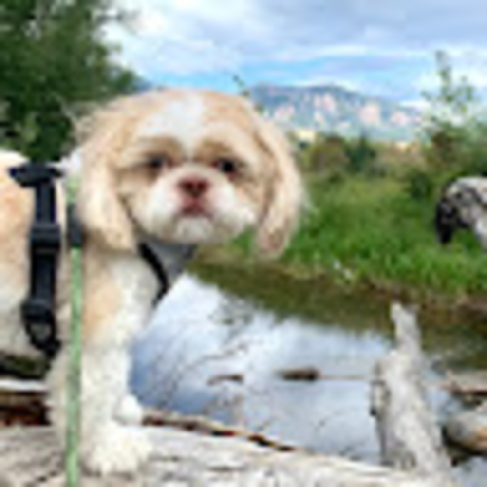 Meet your Posher, Erica